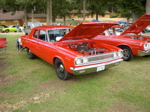 P1010098.JPG